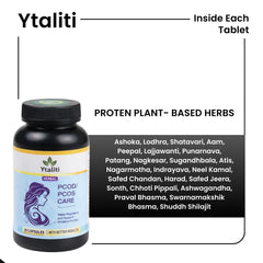 Ytaliti Herbal PCOD/PCOS Care Capsules – Women’s Herbal Supplement, (60 Capsules) - Ytaliti Ayurveda